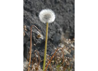 PT 068_hoch.jpg PT 068_hoch