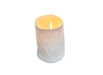 To 501_Windlicht_b.png To 501_Windlicht_b