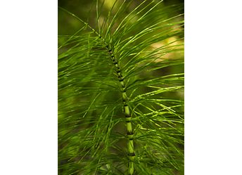 PT 022_hoch.jpg PT 022_hoch