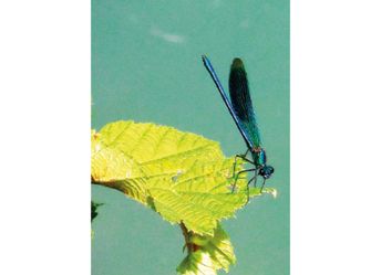 PT 013_hoch.jpg PT 013_hoch