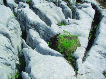 St 007_quer.jpg St 007_quer