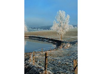 LS 011_hoch.jpg LS 011_hoch