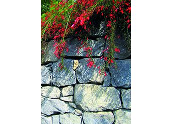 PT 078_hoch.jpg PT 078_hoch