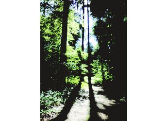 LS 027_hoch.JPG LS 027_hoch