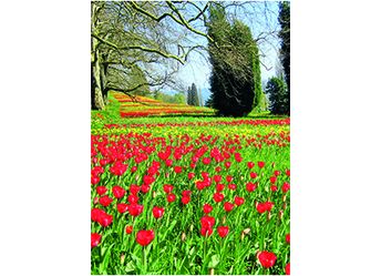 PT 059_hoch.jpg PT 059_hoch
