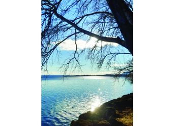 LS 044_hoch.jpg LS 044_hoch