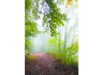 LS 028_hoch.JPG LS 028_hoch
