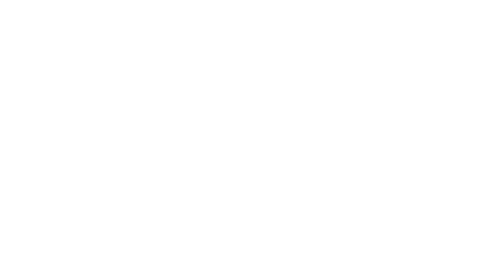 designelement-white-2.png designelement-white-2