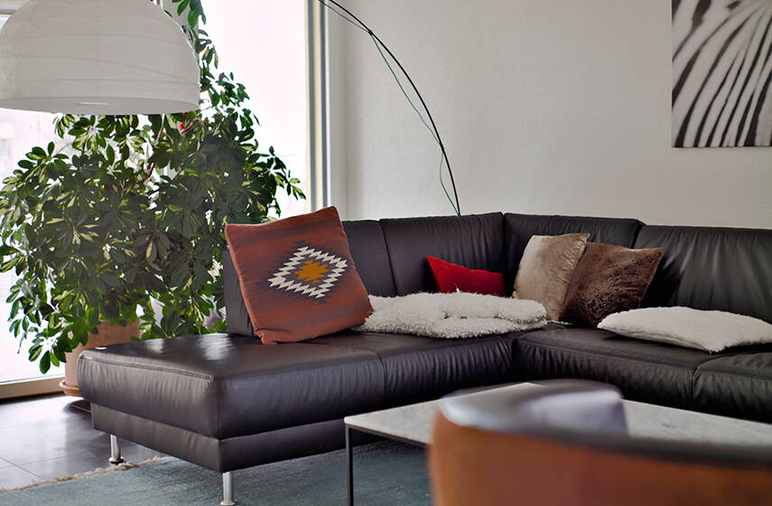 sofaecke_mit_pflanze.jpg sofaecke_mit_pflanze.jpg