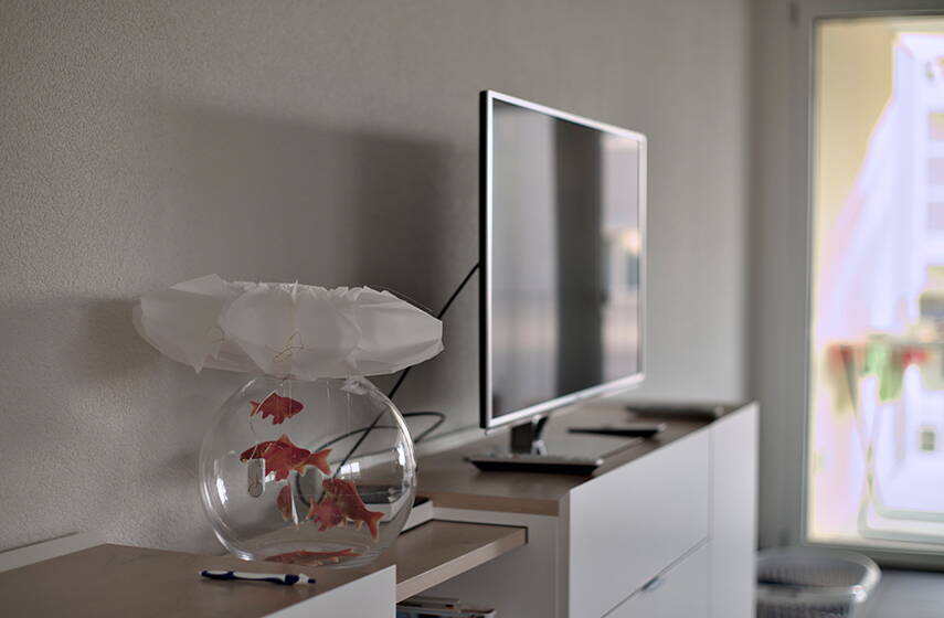 fernseher_und_goldfischglas.jpg fernseher_und_goldfischglas.jpg